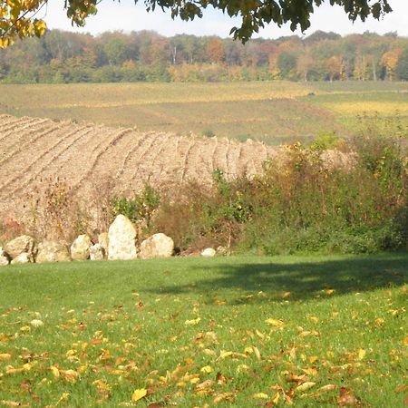 Domaine Du Moulin De L'Etang Bed & Breakfast Chatillon-sur-Marne Bagian luar foto