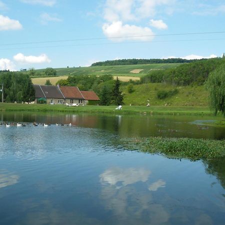 Domaine Du Moulin De L'Etang Bed & Breakfast Chatillon-sur-Marne Bagian luar foto