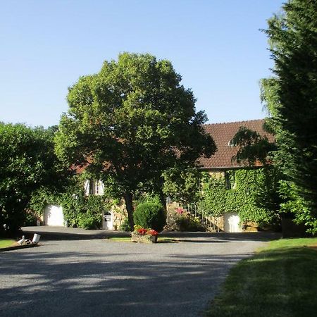 Domaine Du Moulin De L'Etang Bed & Breakfast Chatillon-sur-Marne Bagian luar foto