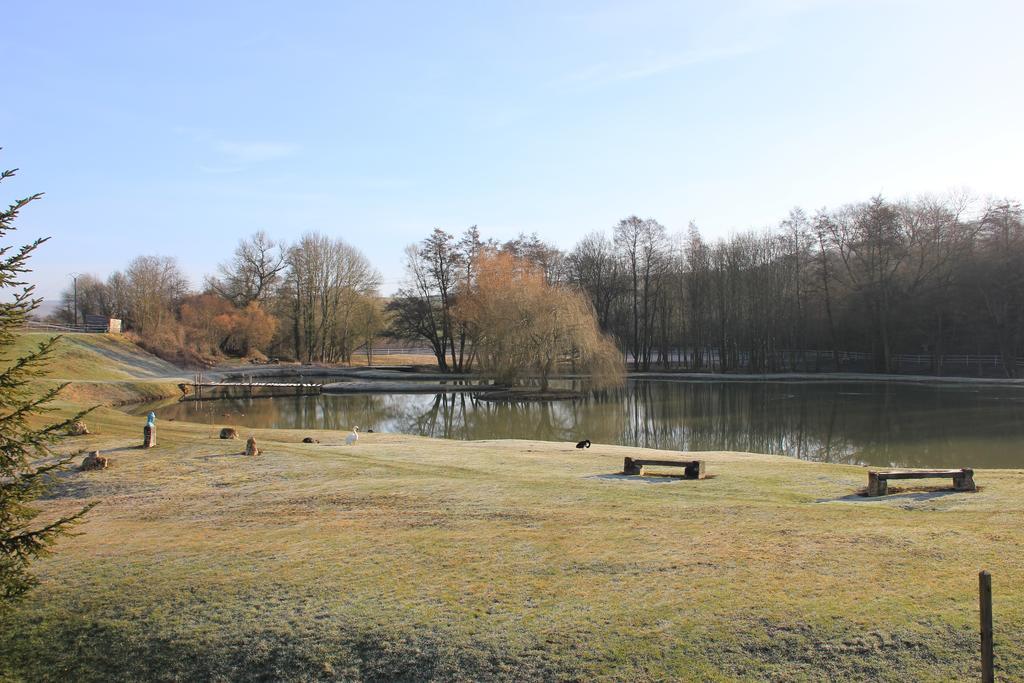 Domaine Du Moulin De L'Etang Bed & Breakfast Chatillon-sur-Marne Bagian luar foto