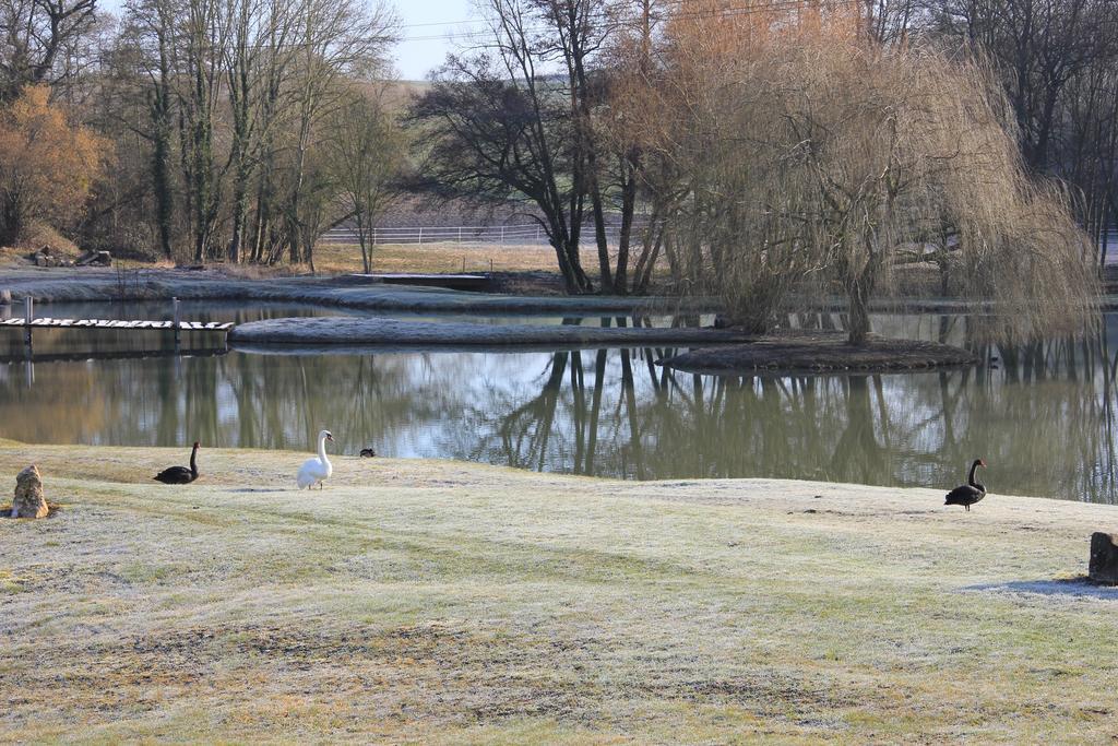 Domaine Du Moulin De L'Etang Bed & Breakfast Chatillon-sur-Marne Bagian luar foto