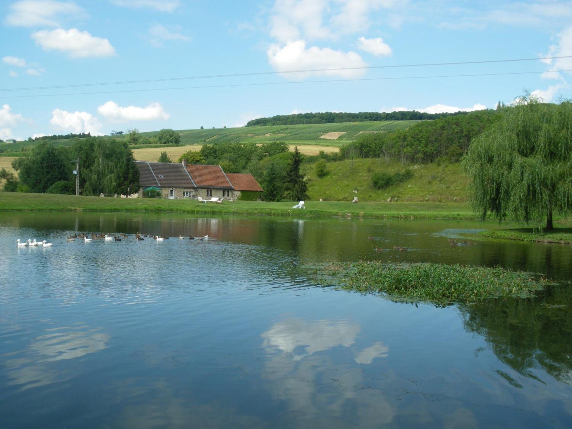 Domaine Du Moulin De L'Etang Bed & Breakfast Chatillon-sur-Marne Bagian luar foto