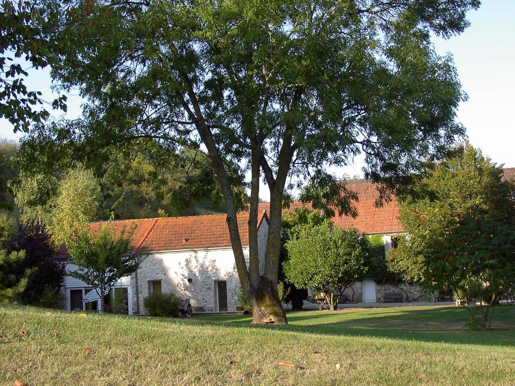 Domaine Du Moulin De L'Etang Bed & Breakfast Chatillon-sur-Marne Bagian luar foto