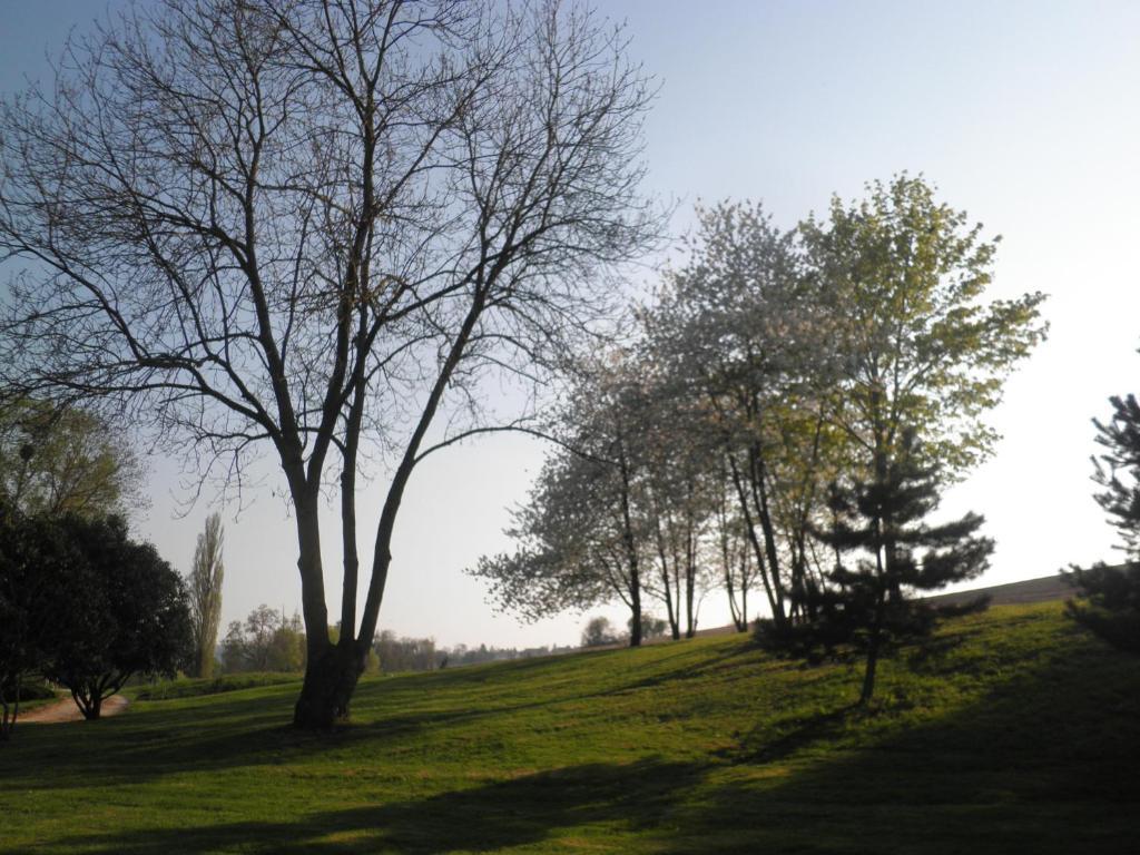 Domaine Du Moulin De L'Etang Bed & Breakfast Chatillon-sur-Marne Ruang foto