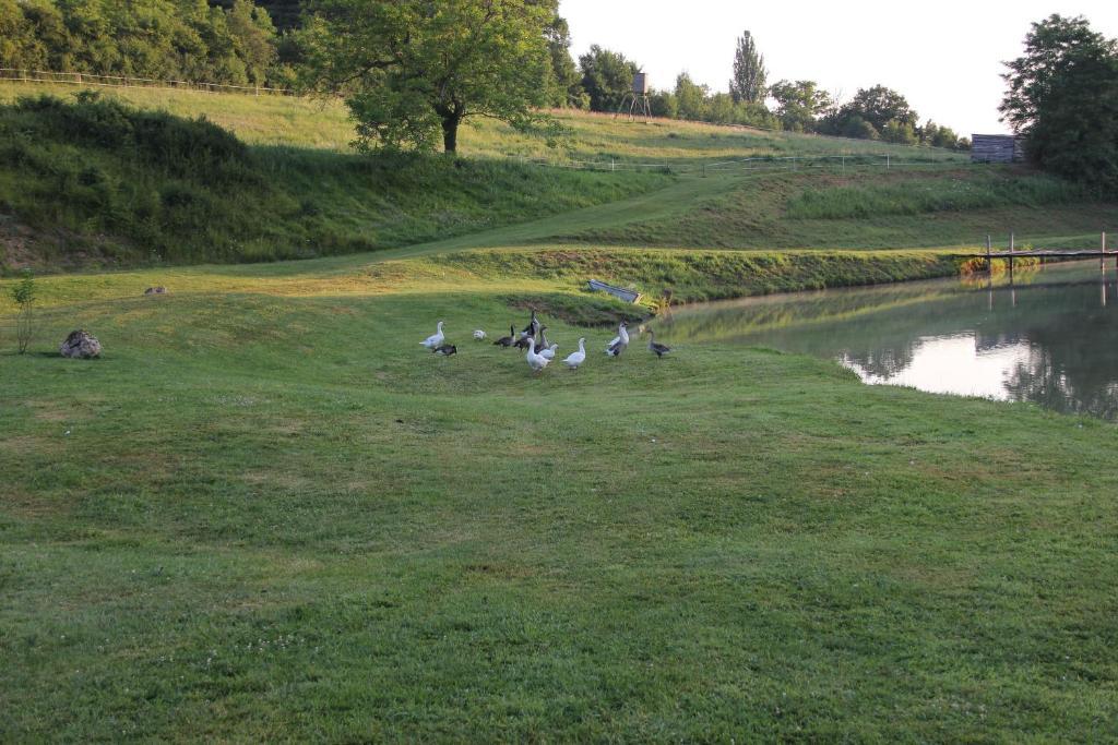 Domaine Du Moulin De L'Etang Bed & Breakfast Chatillon-sur-Marne Bagian luar foto