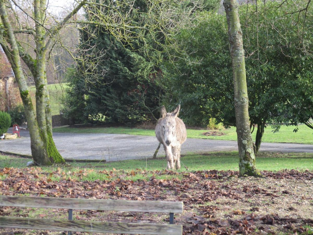 Domaine Du Moulin De L'Etang Bed & Breakfast Chatillon-sur-Marne Bagian luar foto